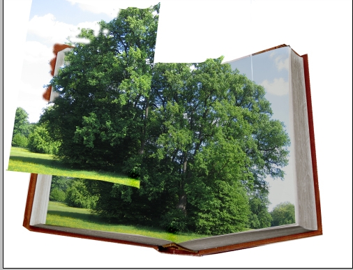 Creation of my book: Step 3